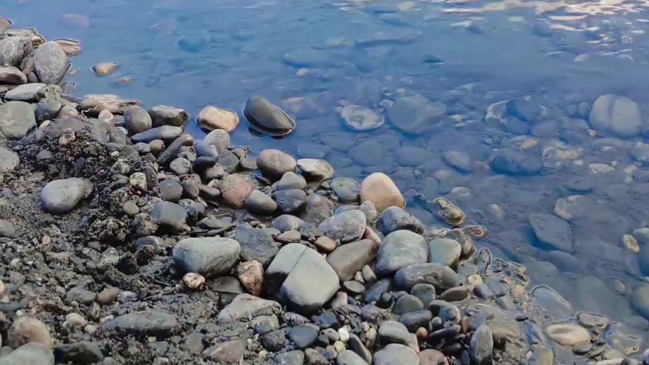 Gandaki river shaligram , finding shaligram shila somewhere near kali gandaki river nepal