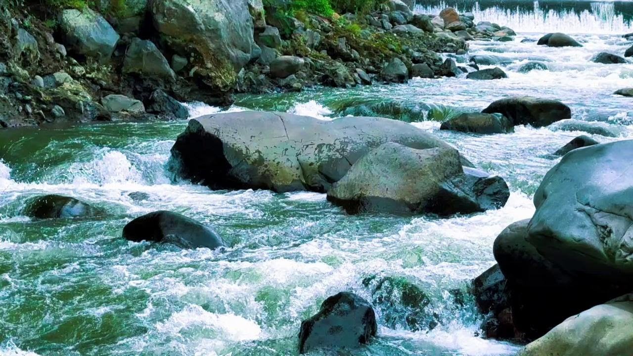 River Sounds for Deep Sleep & Study Live  - Soothing Water Ambience & Nature Sounds