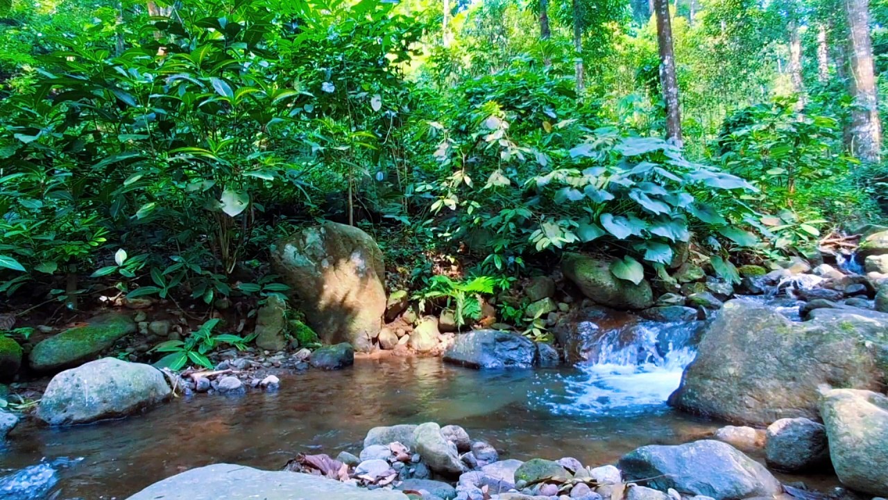 Calm River Flow for Deep Night Relaxation