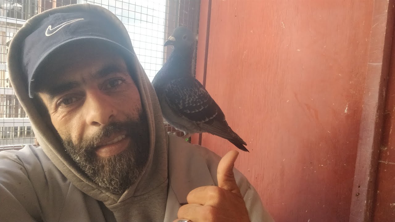 علاج الجهاز التنفسي على طريقة عصام 36😉والنتيجة اللهم بارك أعطت أكلها فقط بعد يومان من العلاج🕊️💚🕊️🌹🕊️
