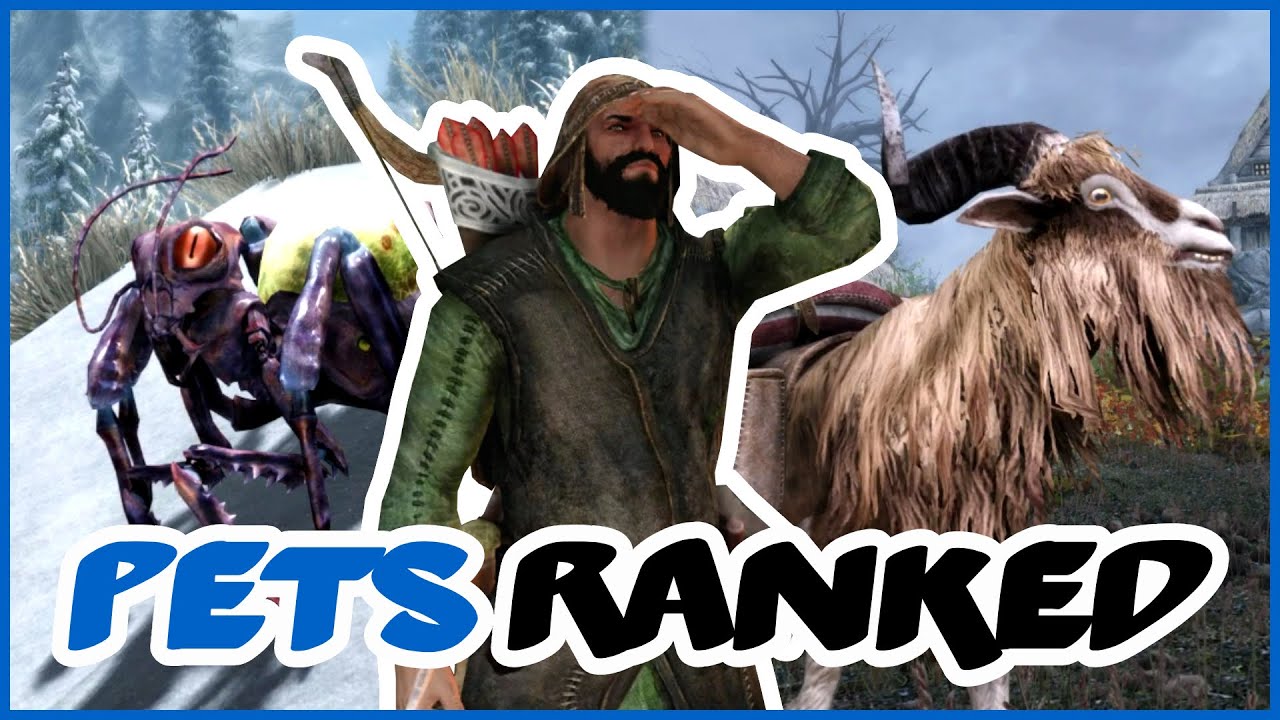 В Skyrim, оказывается, есть питомцы, так что давайте составим им рейтинг.