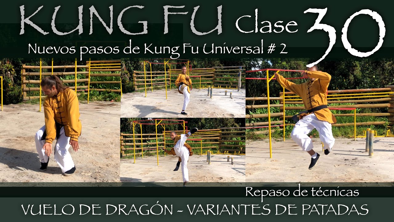 Nuevos pasos de Kung Fu Universal # 2 -vuelo de dragón variante en sus patadas *Clase 30 de Kung Fu*