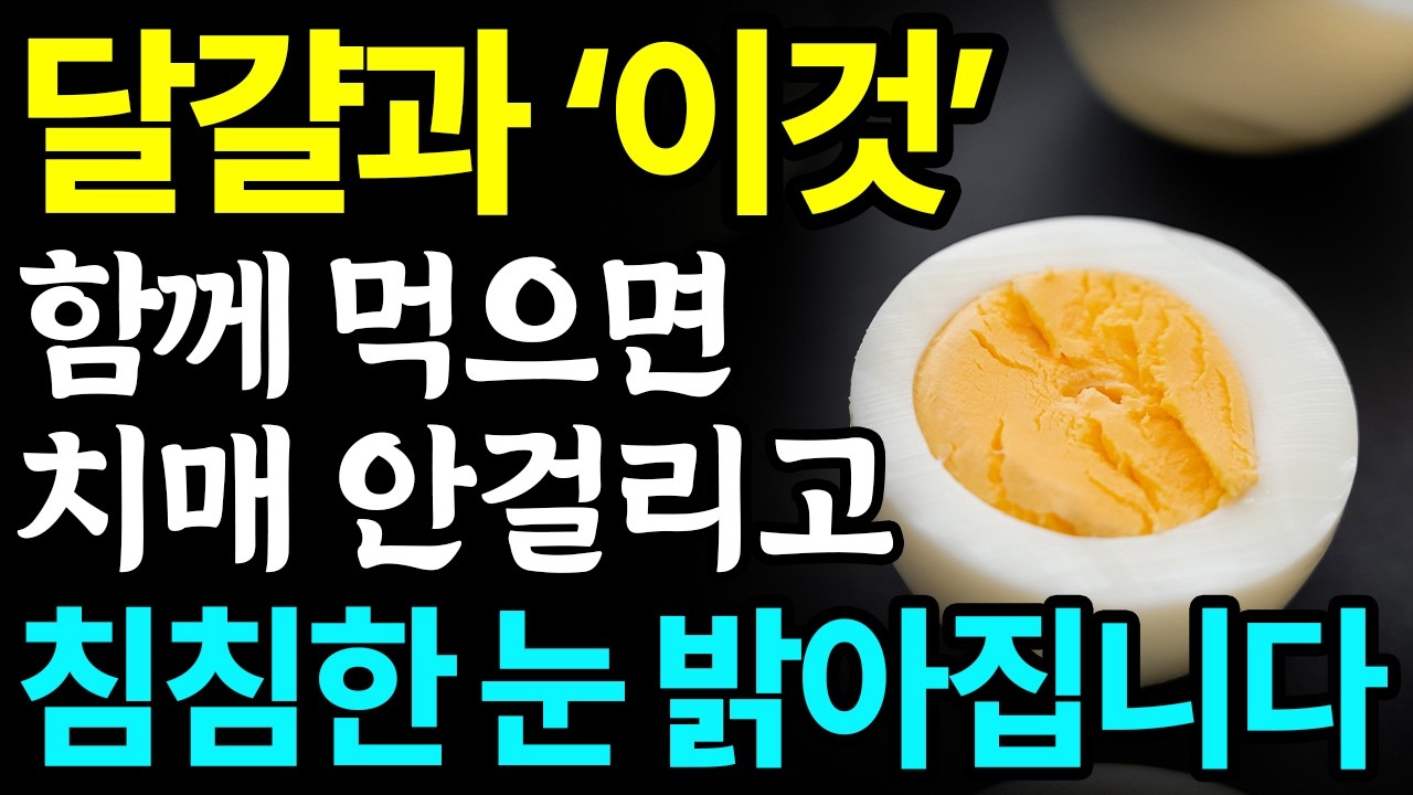 달걀과 함께 먹으면 보약되는 음식 3가지와 레시피 총정리! 값비싼 영양제 대신 '이것' 드세요 I 눈에 좋은 음식 I 치매에 좋은 음식