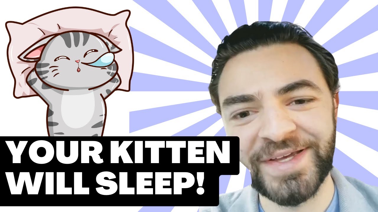 Cat Nap 101: How to get your Kitten to Sleep🐱