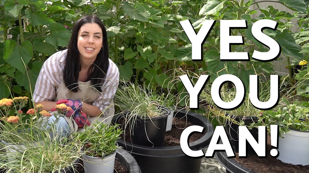 Can You Make a Pollinator Friendly Garden on Your Patio (or any other small space)?