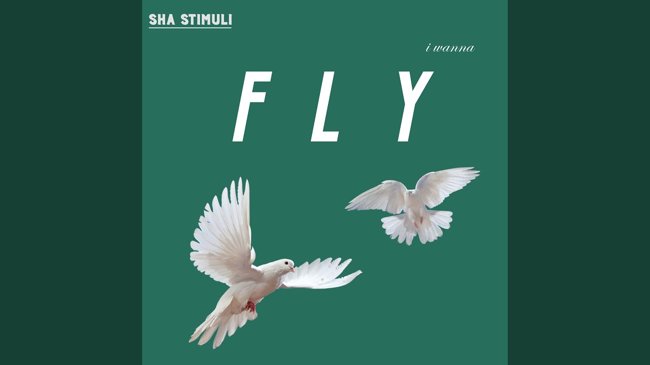 I Wanna Fly