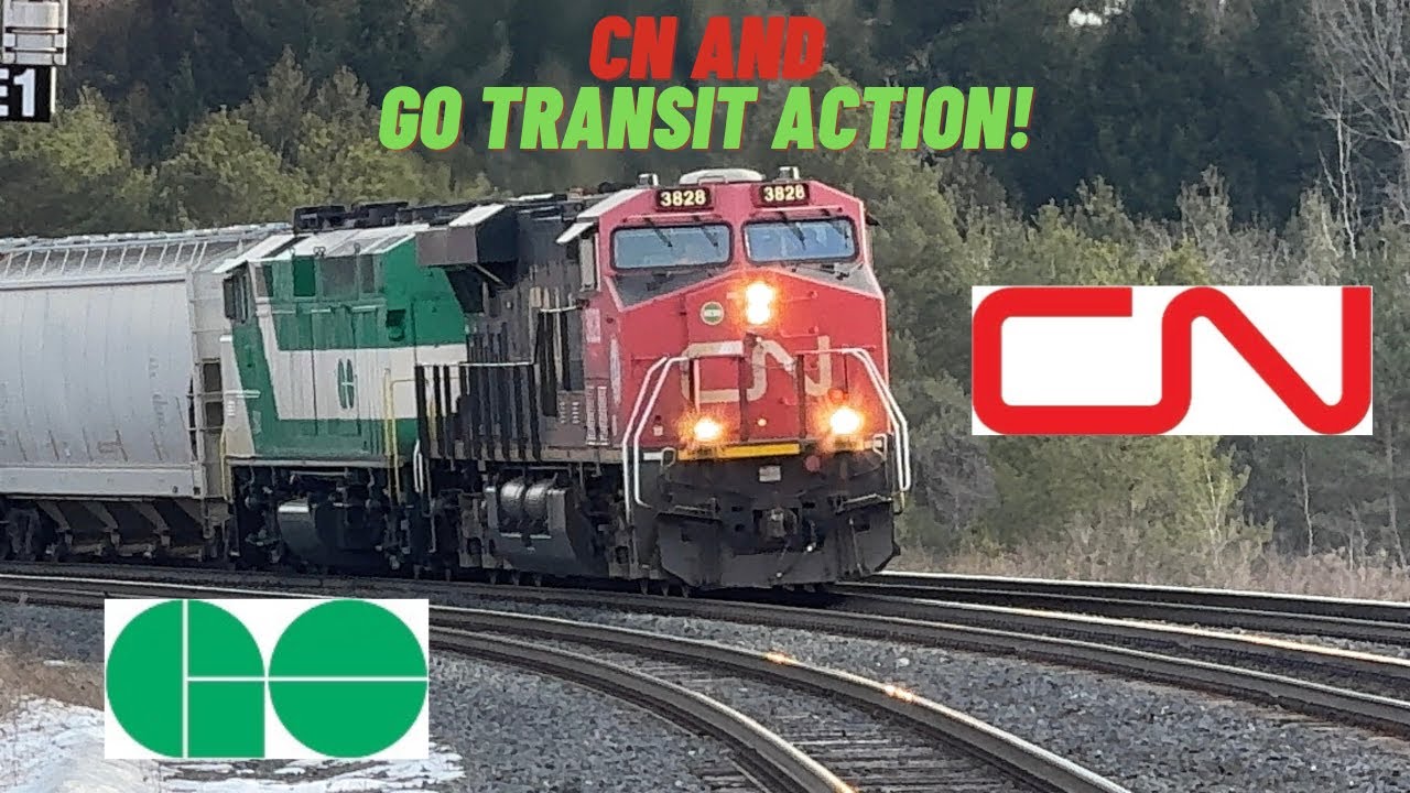 (Go Transit 254, 560 On A451, And More) CN M314, A450, A451 And Two Go Trains At Bloomington Go
