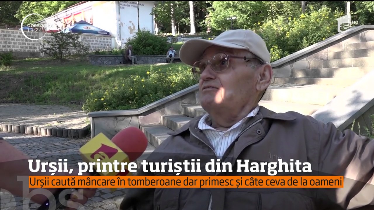 Urşii se plimbă nestingheriţi pe străzile din staţiunea Băile Tuşnad