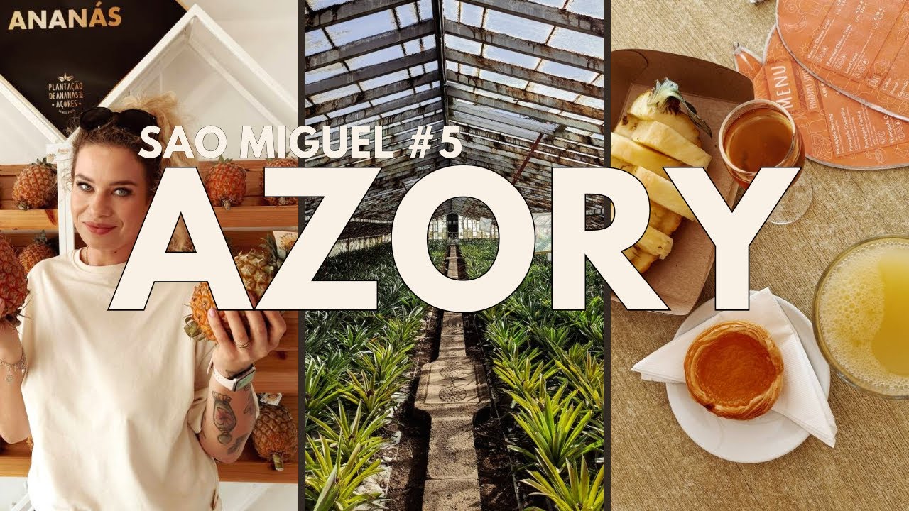 AZORY / SAO MIGUEL / PONTA DELGADA / PLANTACJA ANANASÓW / ŁUKASZ  NA DIECIE FAST FOODOWEJ