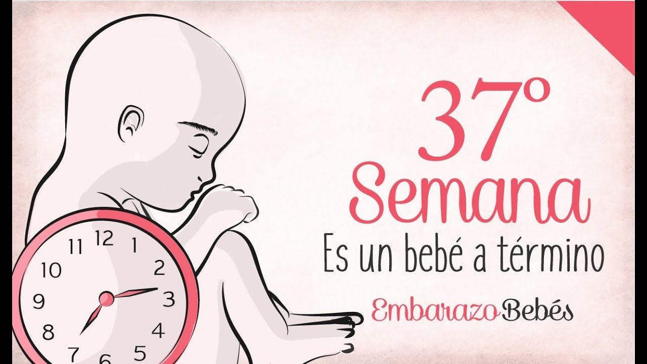 SEMANA 37 de #Embarazo | 9&ordm; Mes | Semana a semana