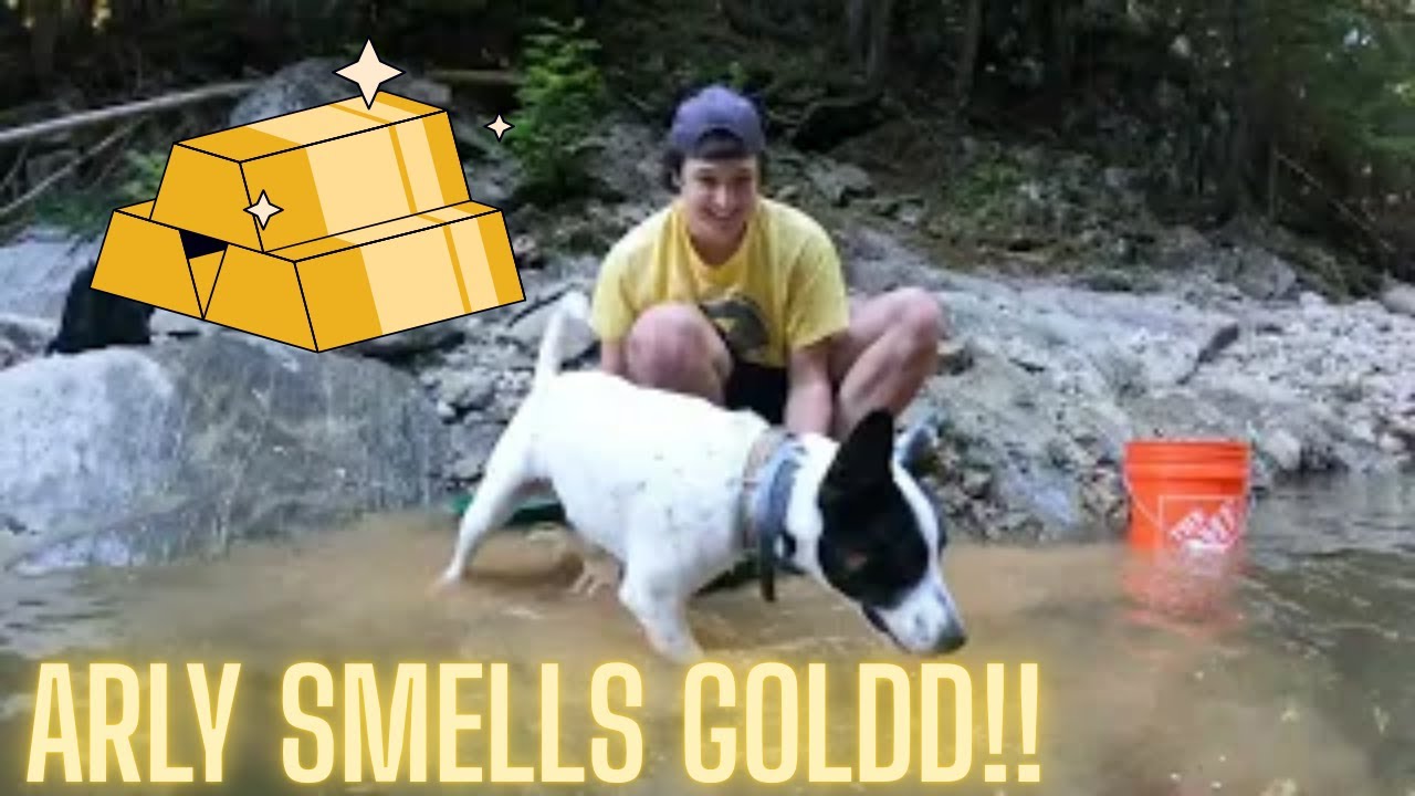 Pure Vermont Gold.1