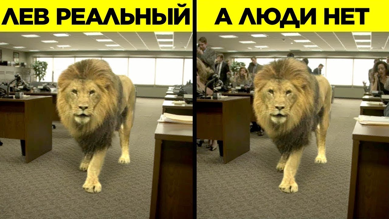 Убедительная Графика, Которую Вы Приняли За Реальные Сцены