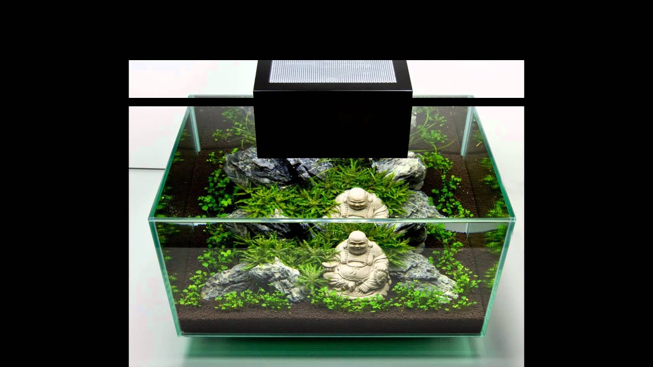 Oliver Knott meets Fluval Egde 2 - Final Version -