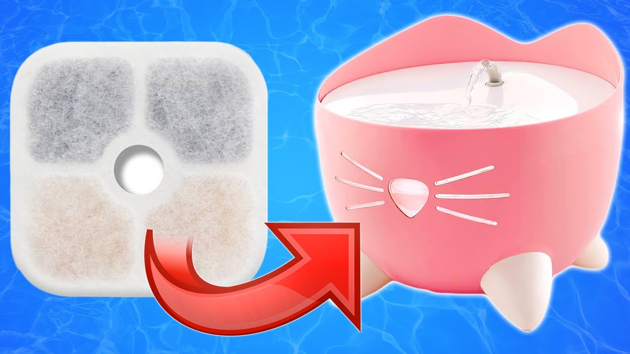How To Change The Filter On The Catit Pixi Water Fountain