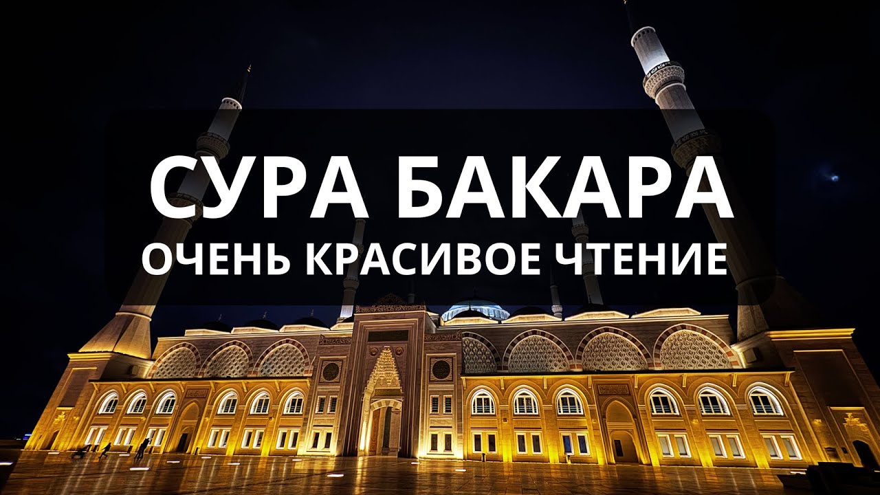 Защита вашего дома Сура АЛЬБАКАРА