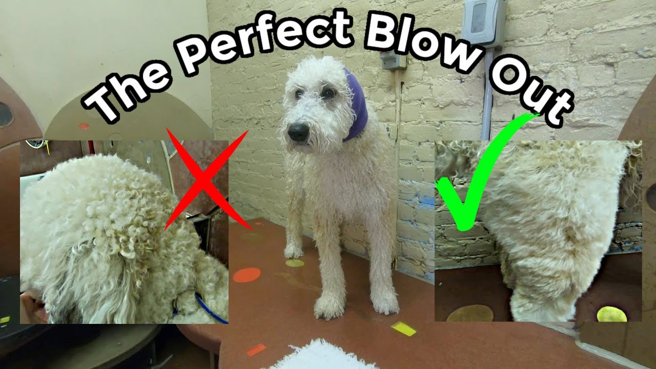 The Perfect Blow Out | Improve your haircuts!