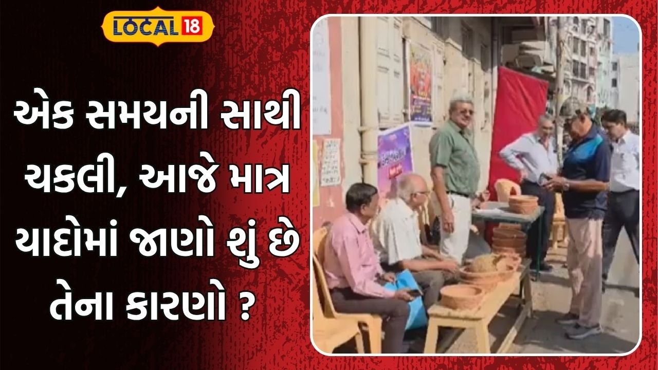 Navsari News | એક સમયની સાથી ચકલી, આજે માત્ર યાદોમાં જાણો શું છે તેના કારણો ? | Gujarati News