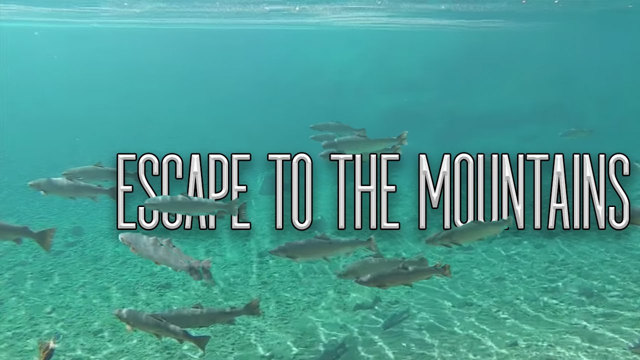 Escape to the Mountains - Bonaventure Canoe Poling & Fly Fishing Salmon - Gaspé Adventures - E.4