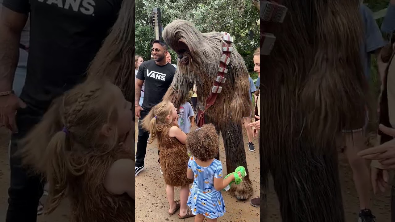 Rey takes Little Chewy to meet Chewbacca at Disney World