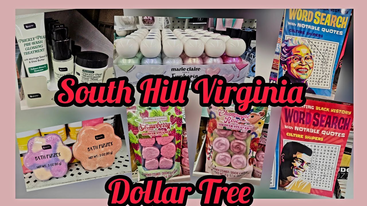 Let's go Dollar Tree shopping out of the State. #dollartreeshopping #dollartree