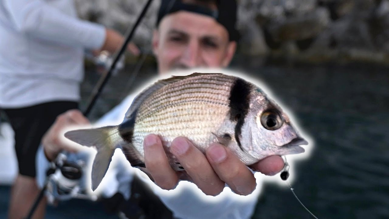 FINESSE-ANGELN im Mittelmeer! So f&auml;ngst du Meerbrassen und andere Fische mit der CHEBU!