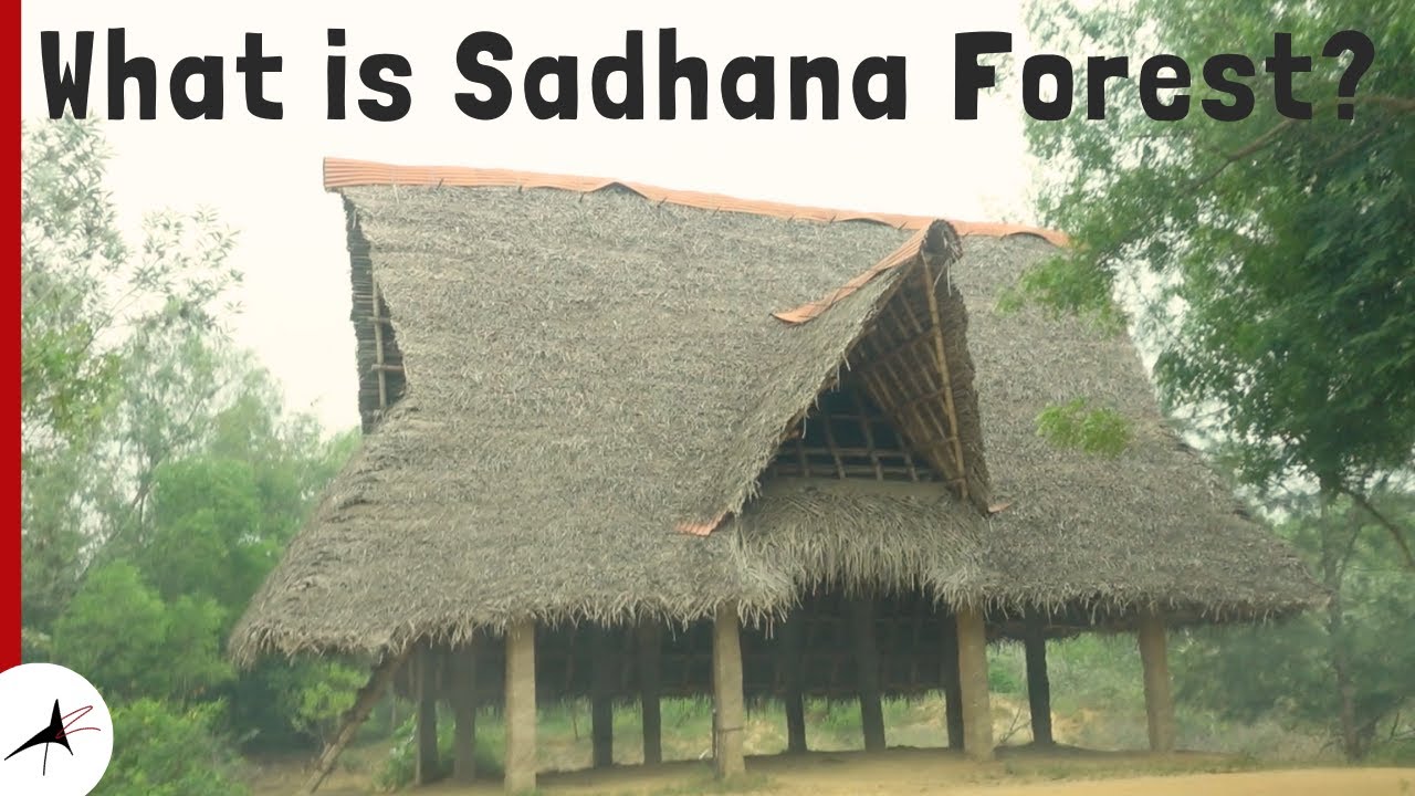 Volunteering Experience: My Journey in @sadhanaforest for 8 Days