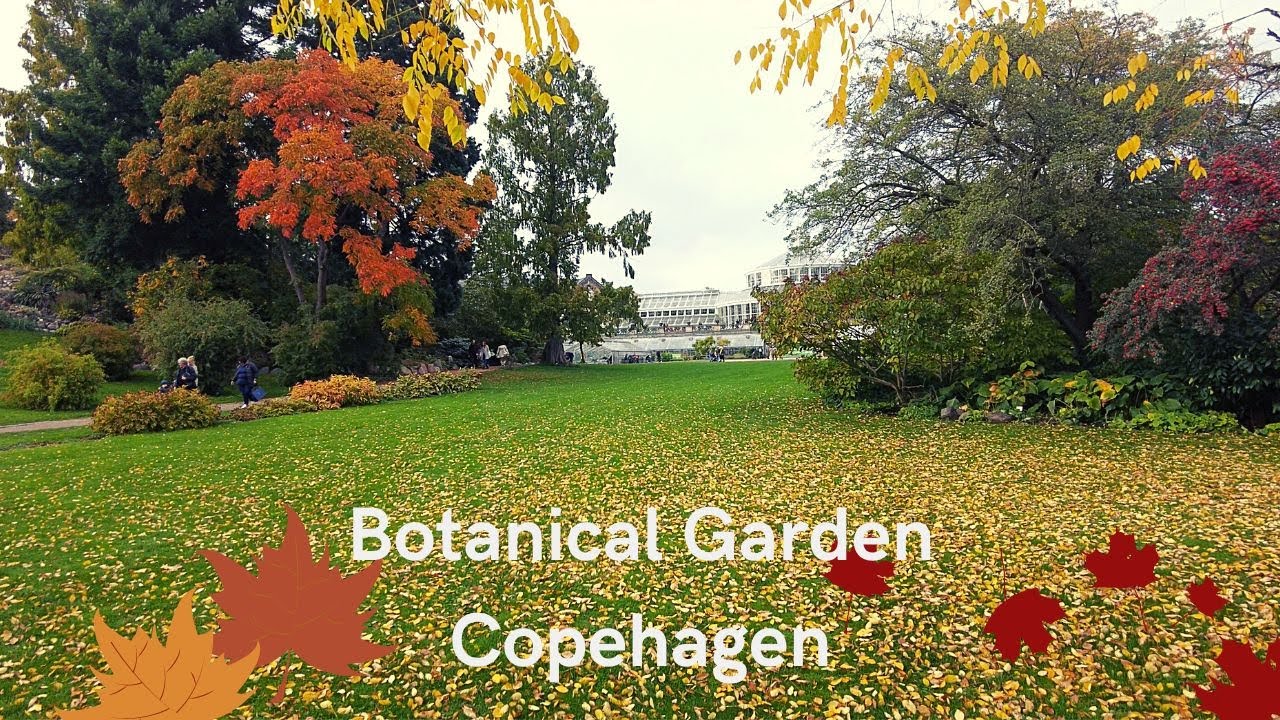 COPENHAGEN BOTANICAL GARDEN | Autumn 2022 | Denmark