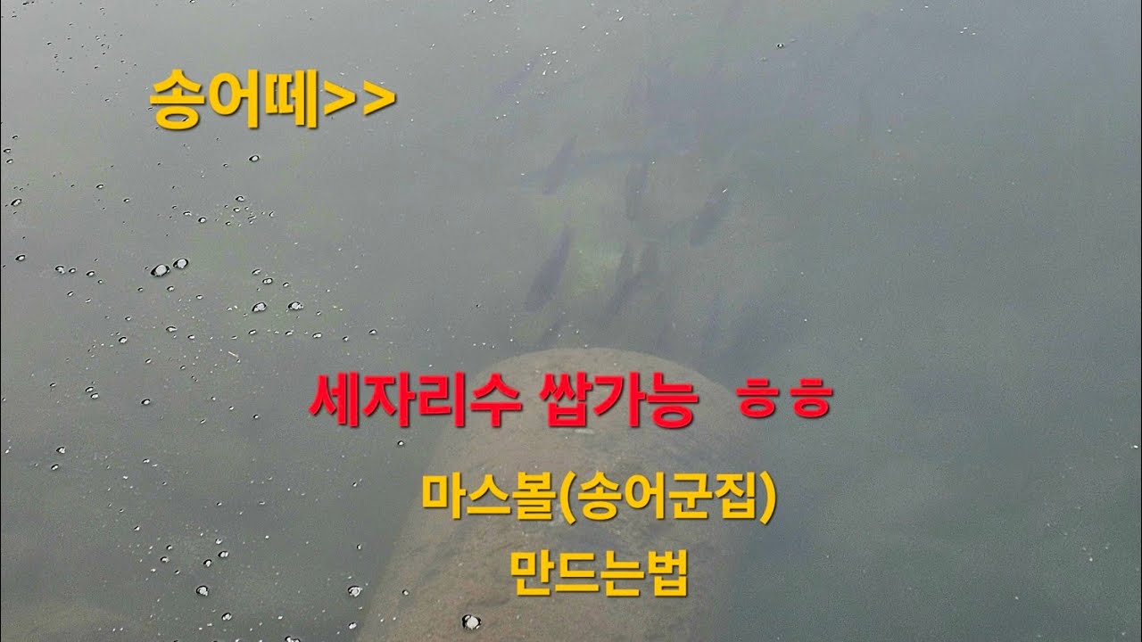 2025 12 28 취병낚시터 네오스타일