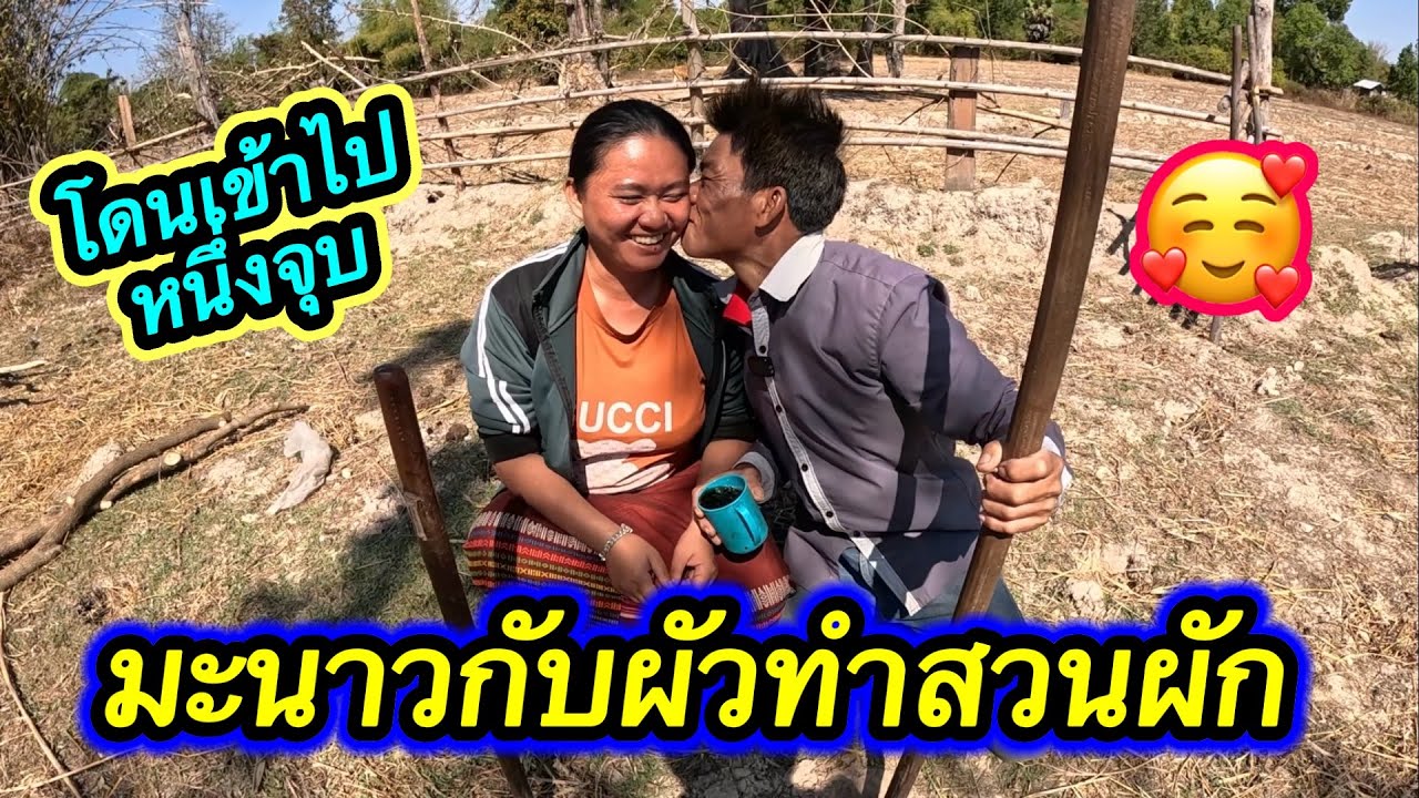 ด่วนๆ‼️น้องมะนาวโดนผัวจัดการไปหนึ่งที ระหว่างทำสวน ￼🥰#ตู้สิทธิปันสุข ￼#ตู้สิทธิปันสุข 23/1/2026