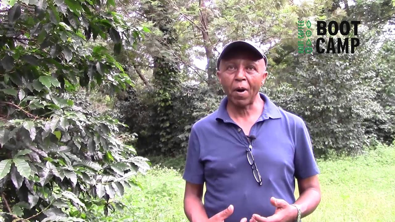 Interview with Ethiopian Coffee farmer
