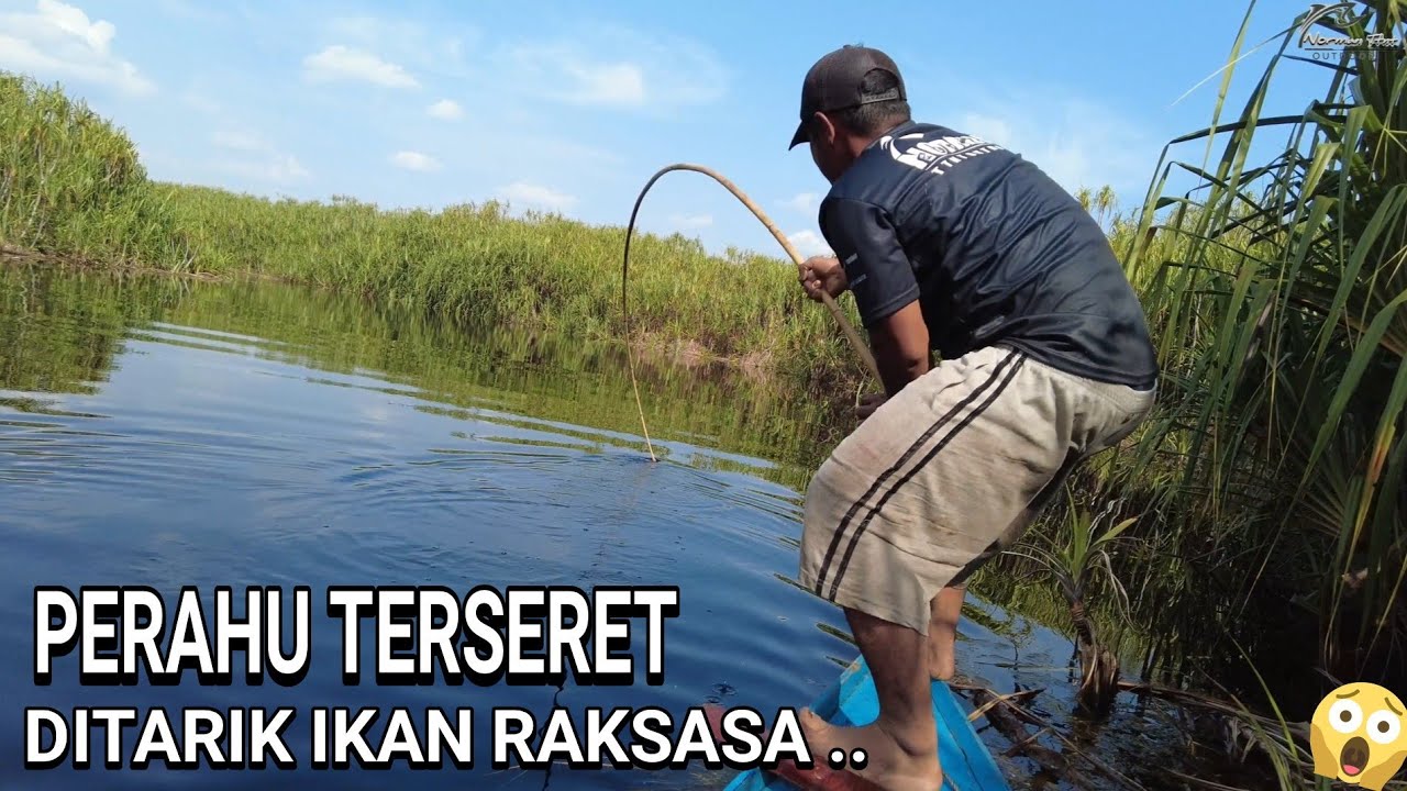 HANYA KEBERUNTUNGAN , JORAN BAMBU INI BISA MENAKLUKKAN MONSTER SEBANGAU .. 😰😰 ..