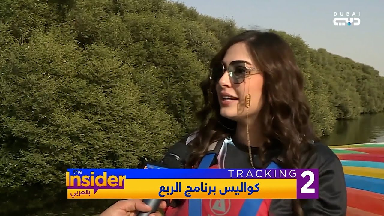 ما الذي دار في 