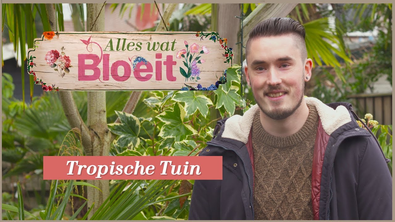 De Tropische Tuin van Sylvan | Alles Wat Bloeit