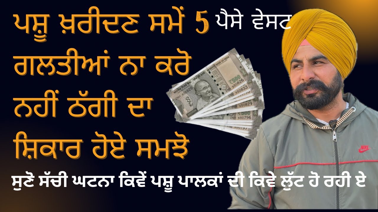 ਨਵਾ ਪਸ਼ੂ ਖ਼ਰੀਦਣ ਸਮੇਂ ਆ ਗਲਤੀਆਂ ❌ ਨਾ ਕਰੋ ਨਹੀਂ ਬਹੁਤ ਵੱਡੀ ਠੱਗੀ ਦਾ ਸ਼ਿਕਾਰ ਹੋ ਜੋ ਗੇ।ਫੋਟੋ ਤੇ ਪਸ਼ੂ ਨਾ ਖ਼ਰੀਦੋ