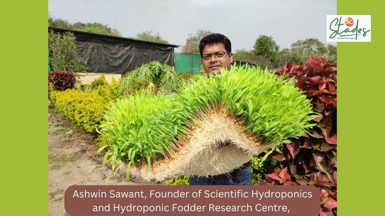 Profitable Hydroponic Fodder Farming