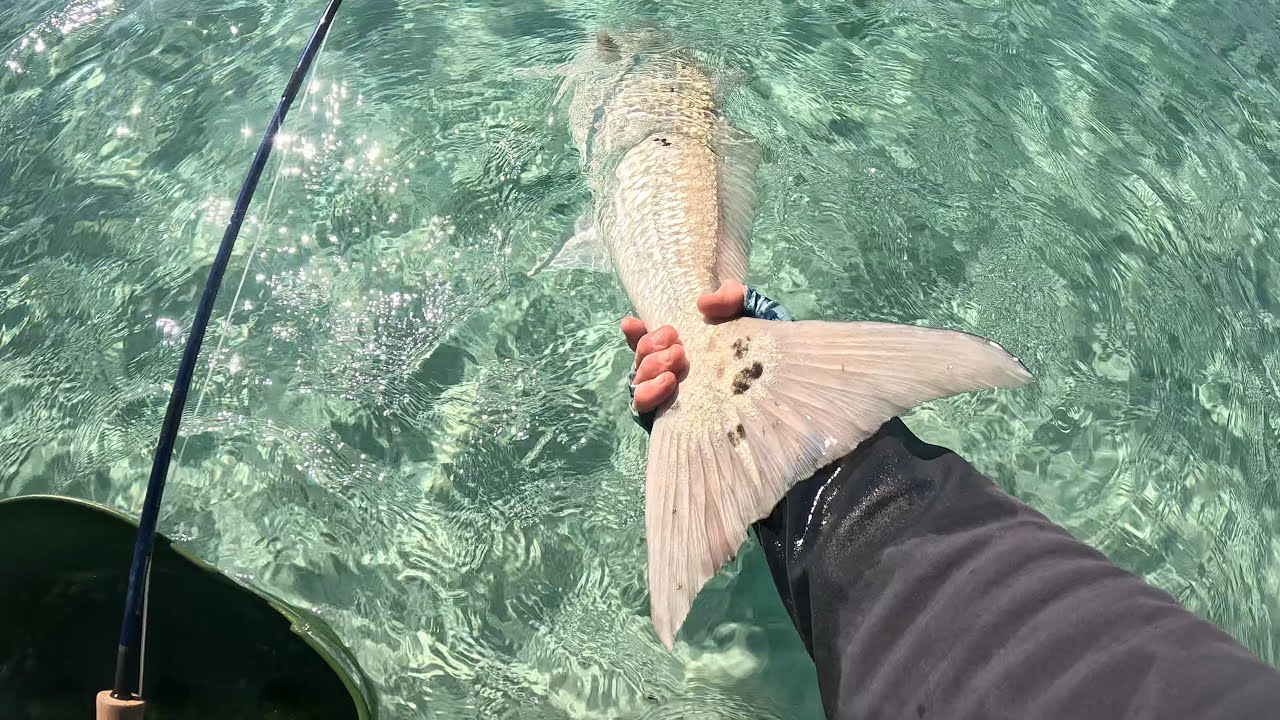 Winter Fly Fishing and catching my TWO BIGGEST Redfish!!