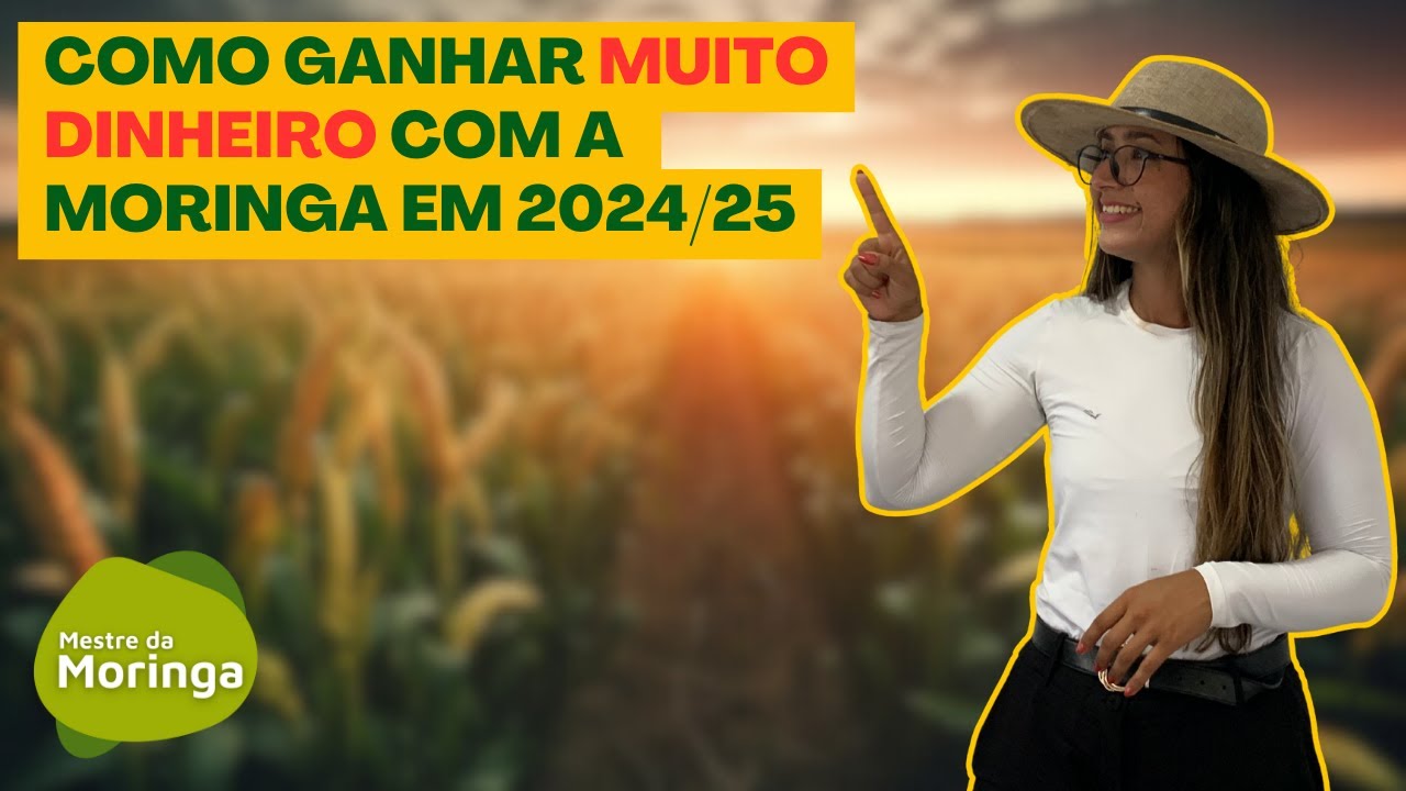 Cultivo de Moringa: Aposta Lucrativa para Silagem e Sementes em 2024 e 2025