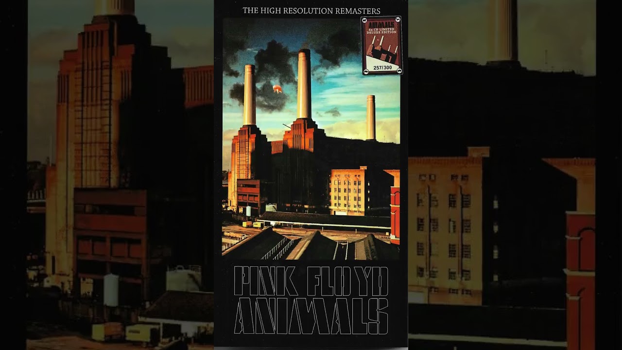Pink Floyd - Pigs (Single Edit)