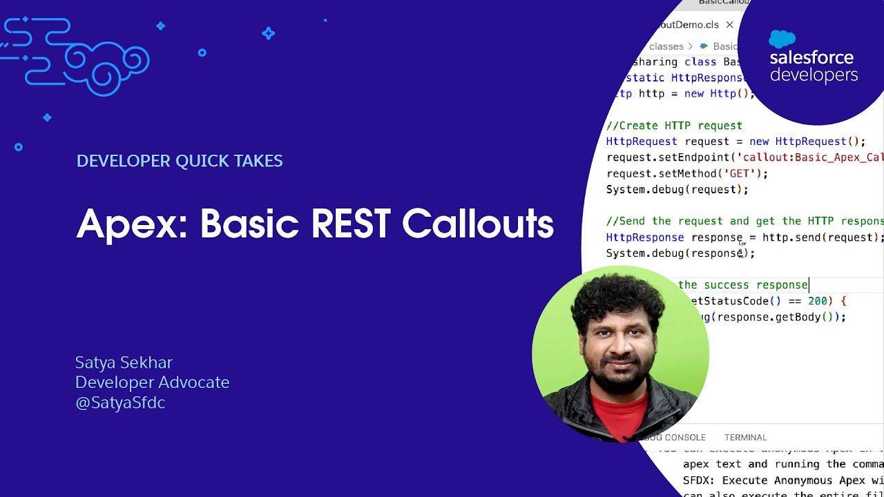 Apex: Basic REST Callouts | Developer Quick Takes