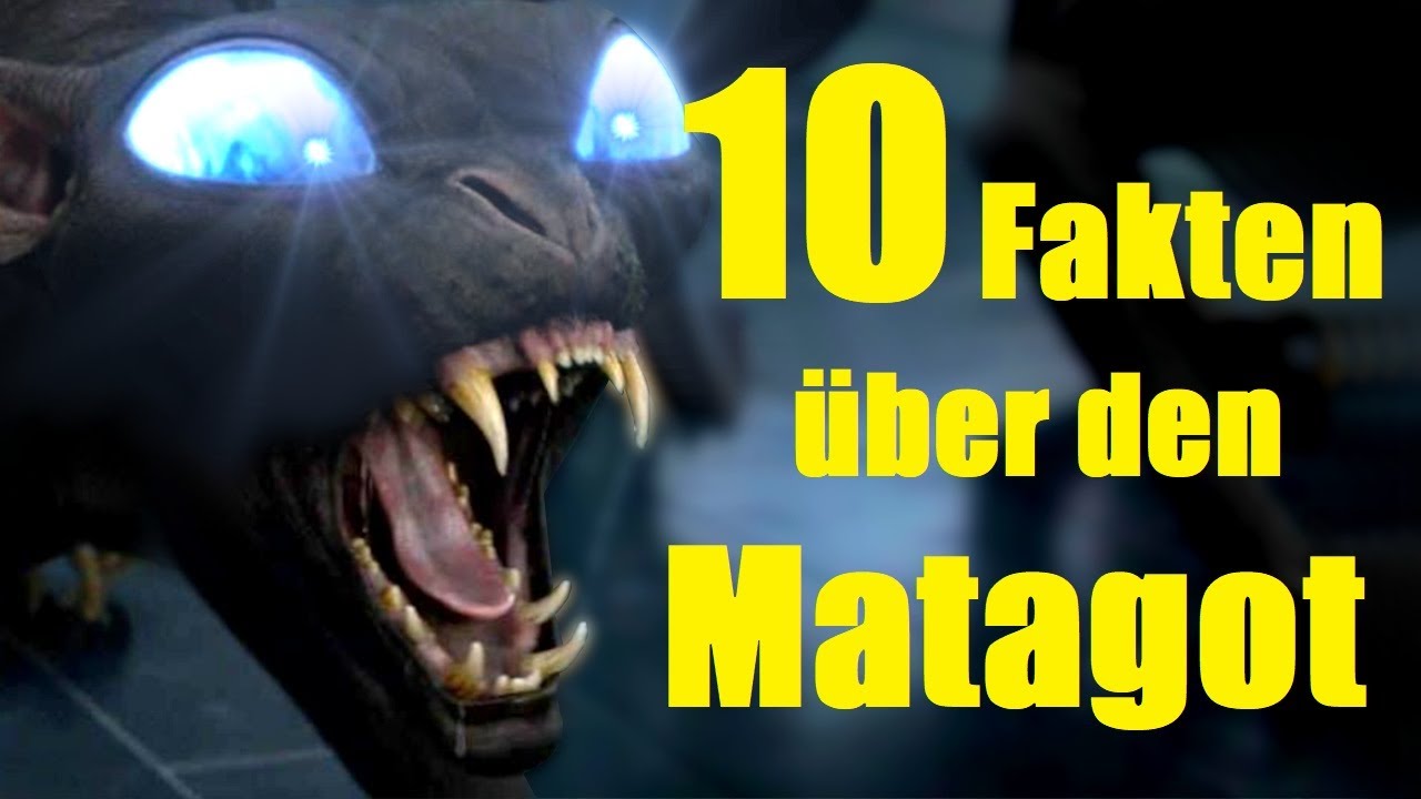 10 FAKTEN über den MATAGOT 😸