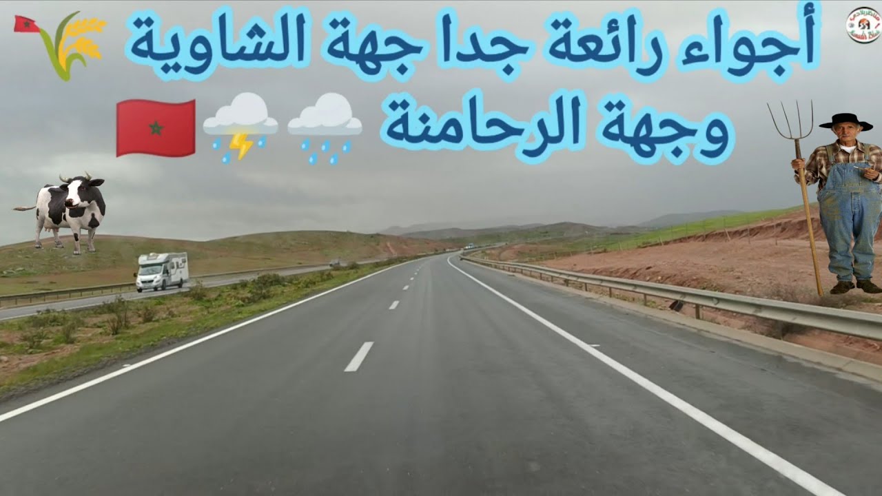بدأت المناظر الطبيعية تضهر في جهة الشاوية 🌾🌾 والرحامنة بعد أمطار الخير ⛈️🌧️🇲🇦