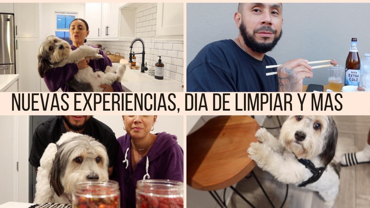 NUEVAS EXPERIENCIAS COMIENDO COMIDA COREANA, LIMPIANDO Y TRABAJO