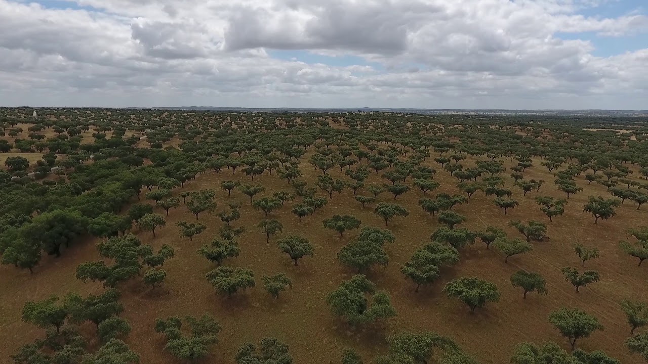 Herdade do Redondo- A jóia do Alentejo