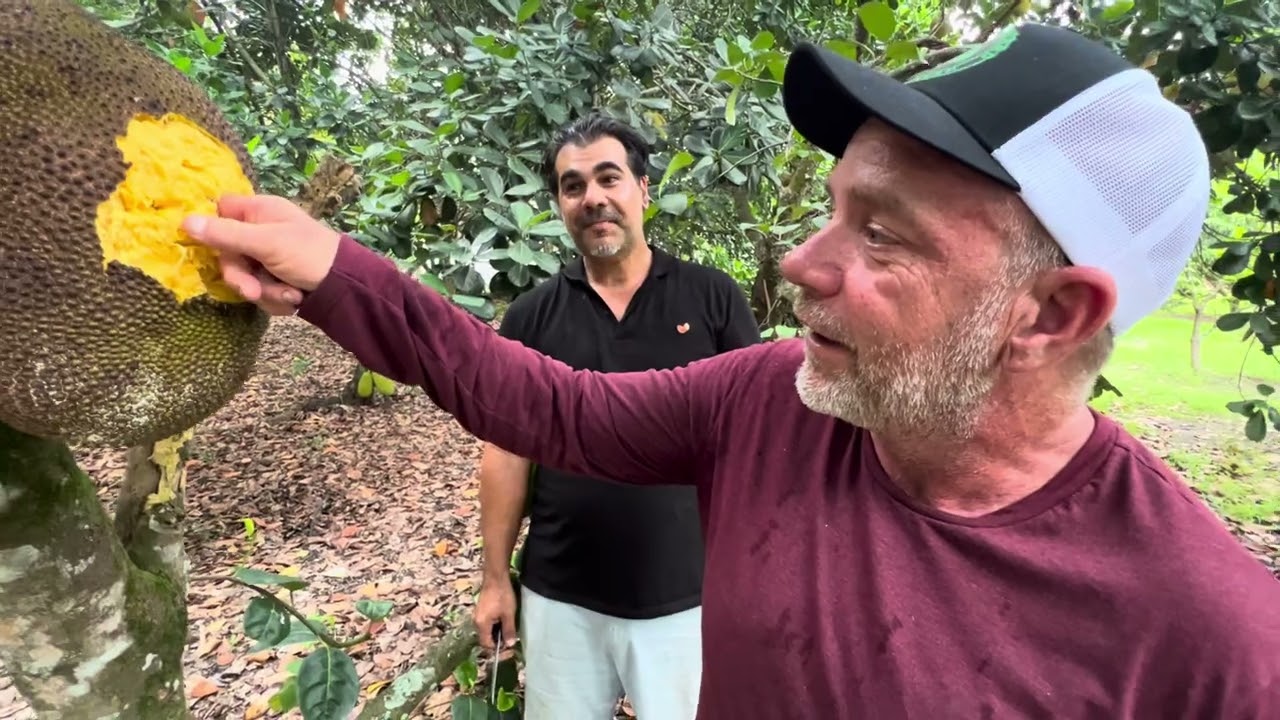 Trying Cochin jakfruit￼, the first time for Tom from sleepy lizard.