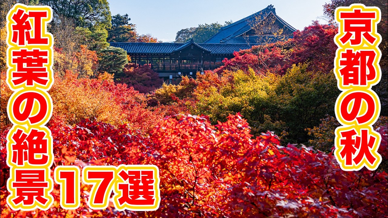 2025年秋に行きたい京都の紅葉おすすめ17選