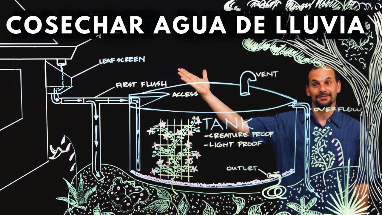 Cómo RECOLECTAR AGUA DE LLUVIA de tu techo