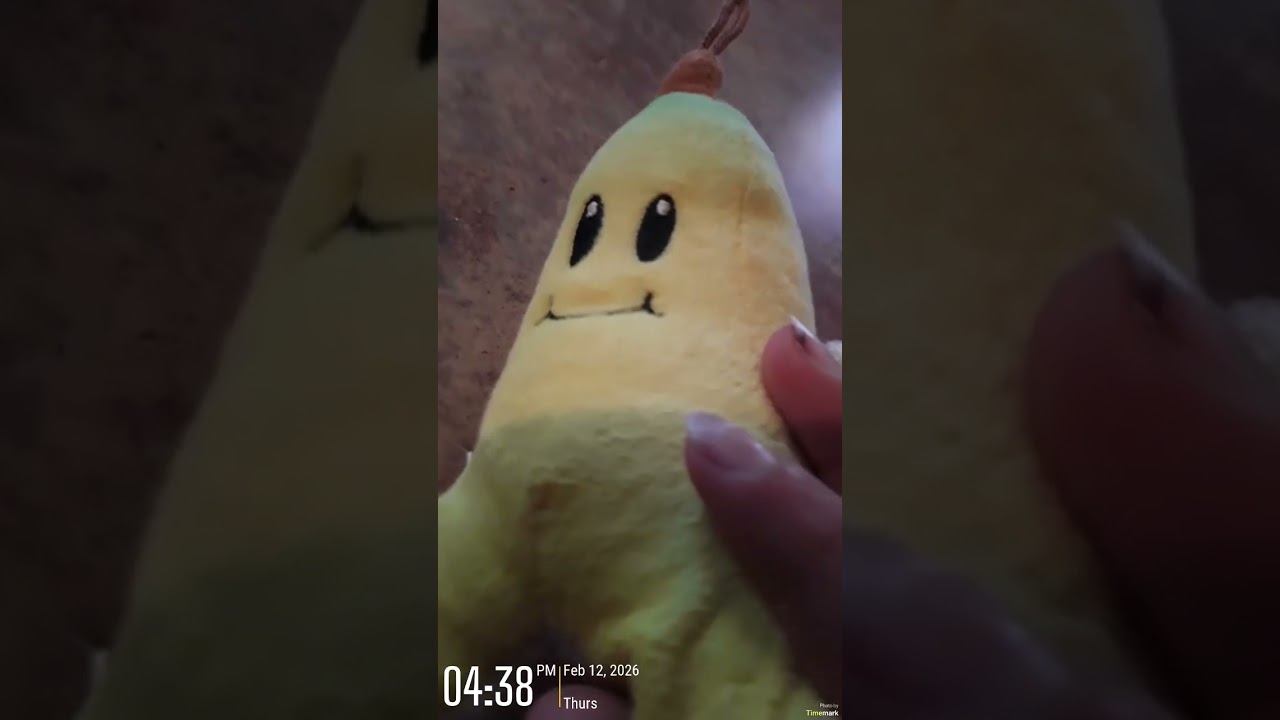 Itstv: the baseball duck!