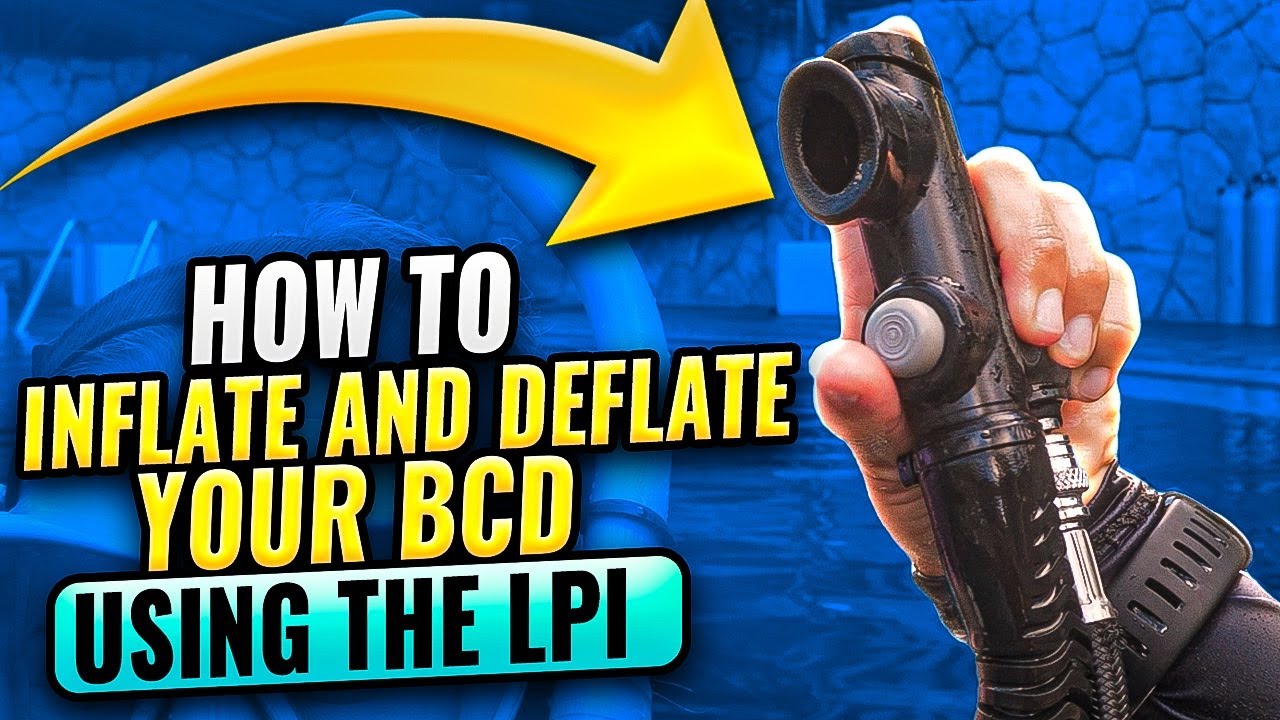 Scuba Diving Skills: How to Inflate and Deflate your BCD Using the LPI | Scuba Equipment 101