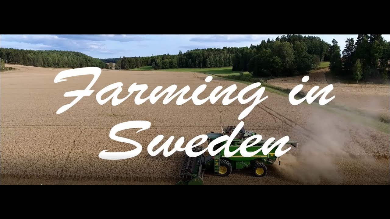 Farming in SWEDEN 2017 | JOHN DEERE | Grain Harvest | Getreideernte |  Cinematic Video