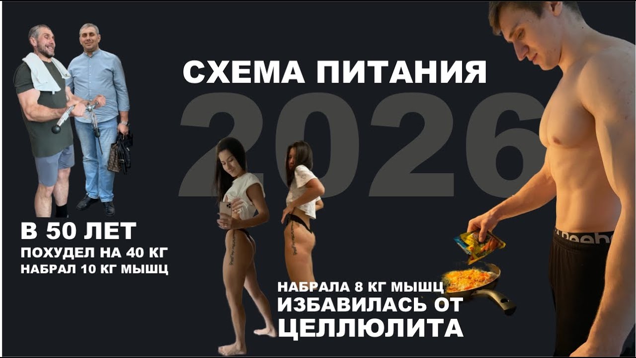 Питание для спортивного тела без строгих ограничений. Схема 2026